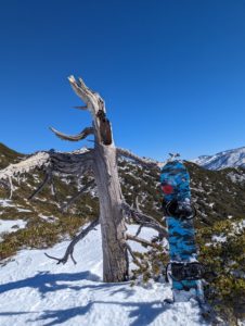 A snowy mountain top with a long dead tree standing stubbornly alone. A snowboard is propped up in the snow next to the tree.