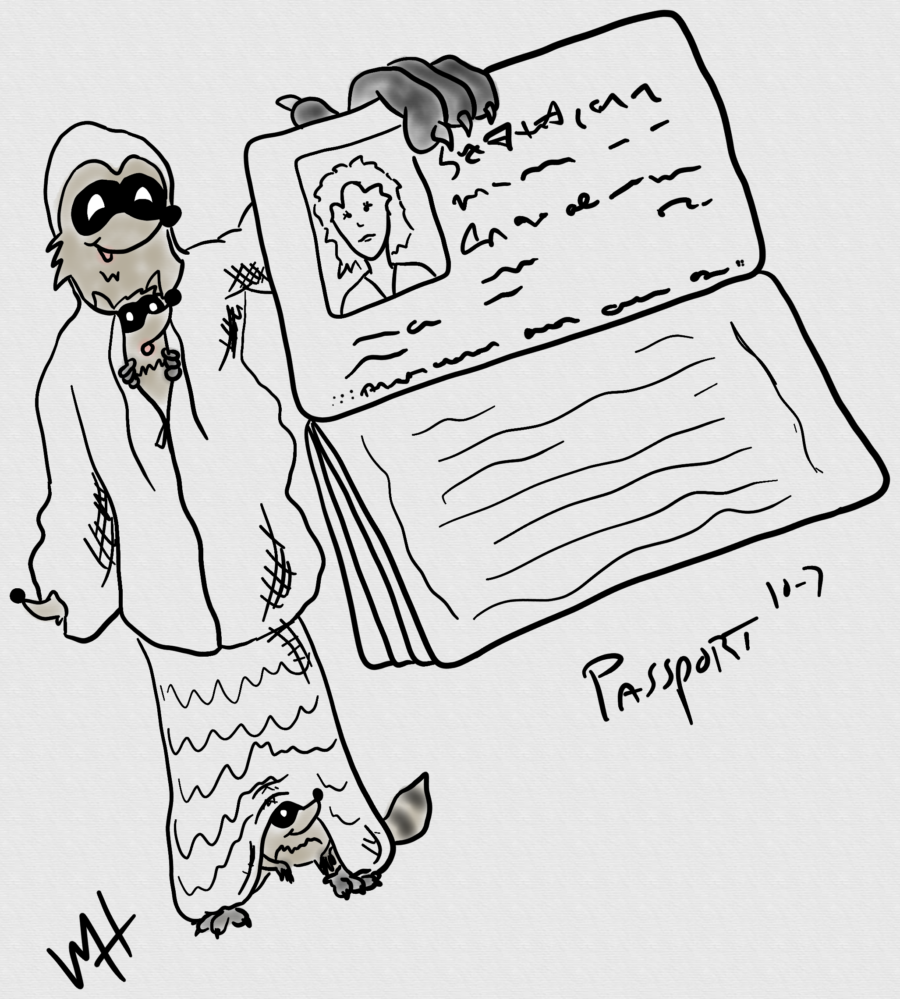 Inktober day 07 prompt: passport. A line drawing of a bunch of Raccoons stacked ina hoodie and a skirt holding out a woman's passport for inspection. We don't know where the woman is.