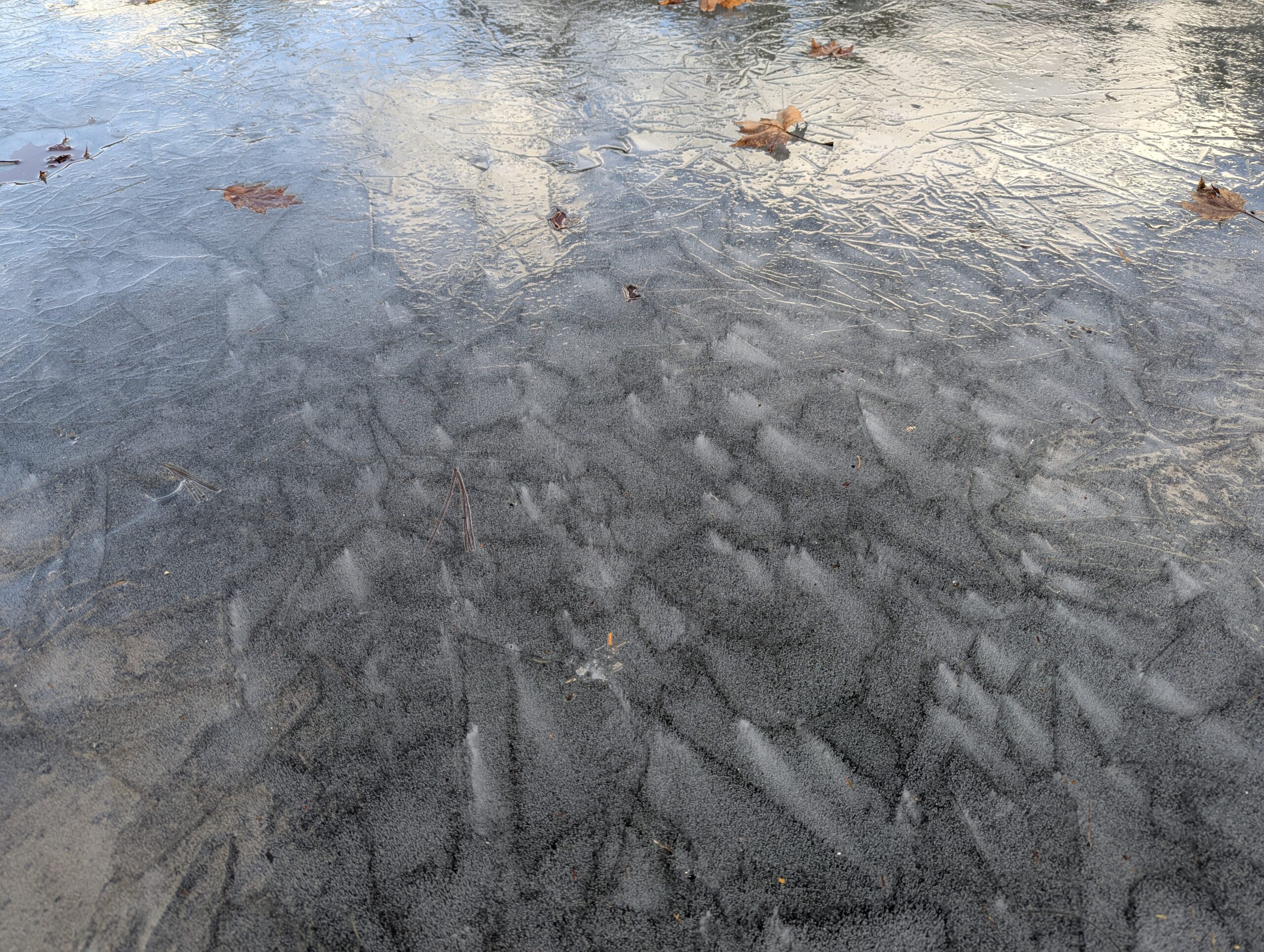 The ice on New Germany Lake formed some interesting patterns. Very angular and surprisingly geometric.