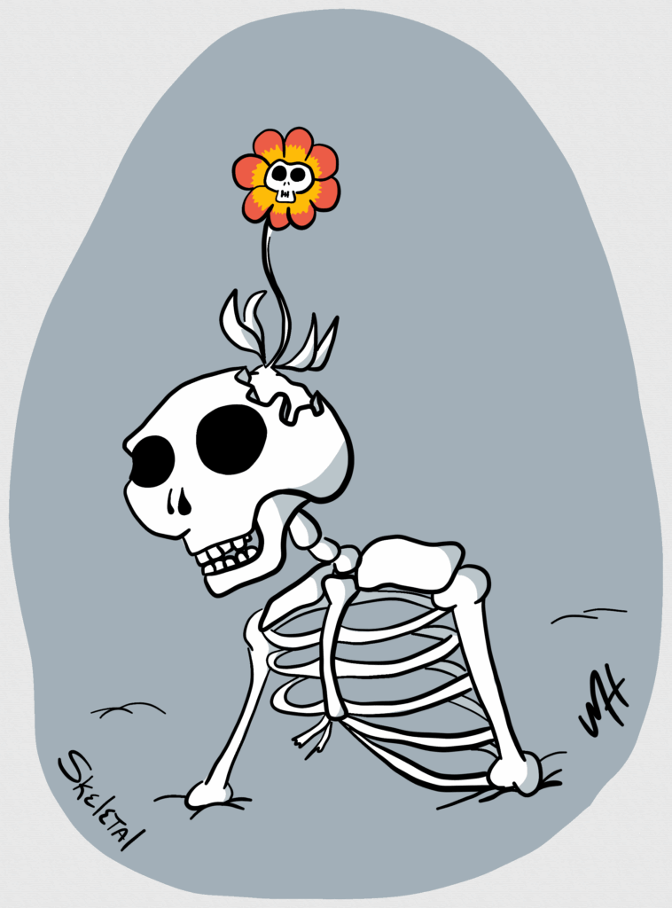 Inktober day 28 prompt: skeletal 
A drawing of the torso and head of a skeleton. Out of a hole in the skull grows a flower that has red and orange petals and a skull in the center.