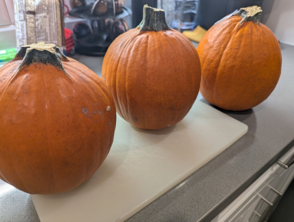 A photo of 3 pie pumpkins that are about to become pie
