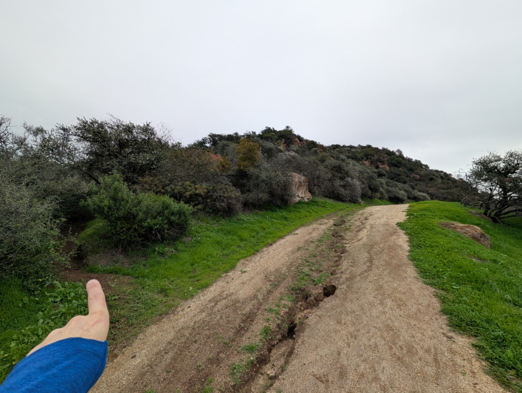 A photo of my finger pointing at the tiny trail hiding in the bushes.