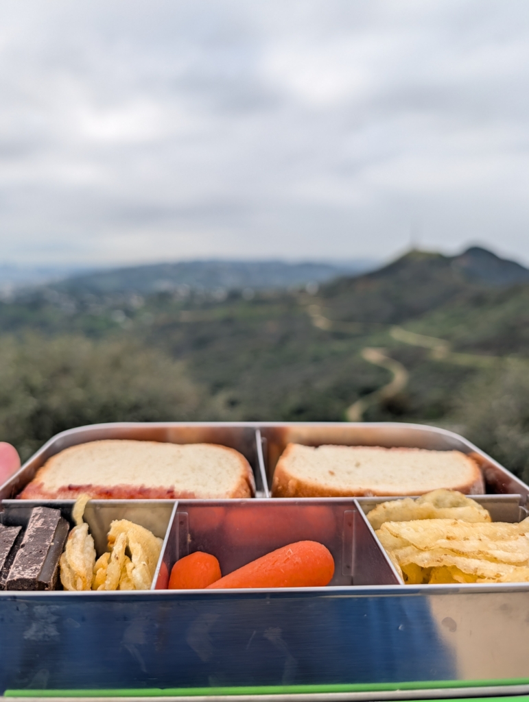 A closeup of my lunch! Peanut butter and jelly sandwich, potato chips, carrots, and some chocolate.